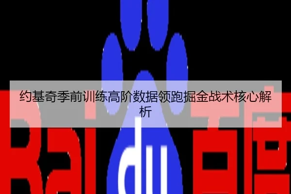 约基奇季前训练高阶数据领跑掘金战术核心解析